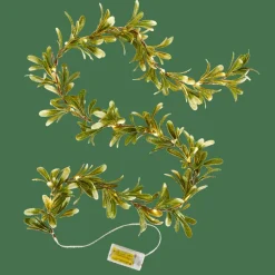 BLATTE Guirlande Lumineuse Vert