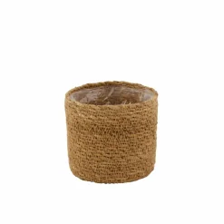 CEMENT Plante Artificielle Gris