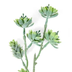 DAHLIA Tige De Fleurs Crème