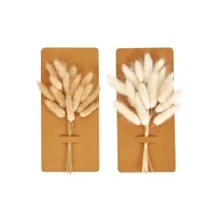 DAMA J Dame-jeanne Brun