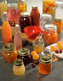 FIDO Pot 1 L Transparent