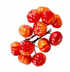 FOAM Branche De Grenadier Rouge