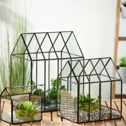 GREENHOUSE Serre Transparent