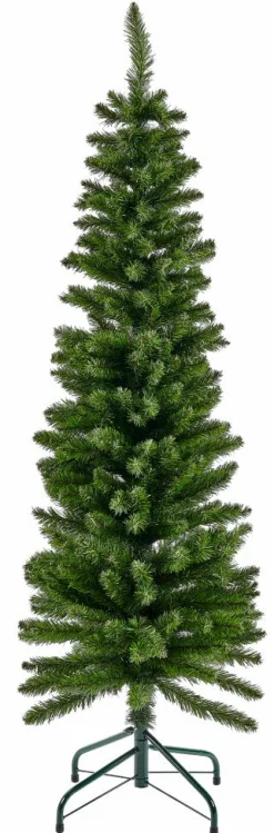 HYMNE Branche Décorative Vert