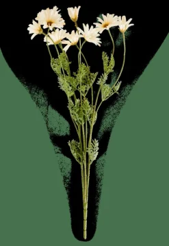 INDI Tige De Fleurs Crème