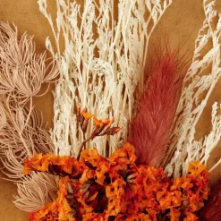 MIA Décoration Séchée Orange
