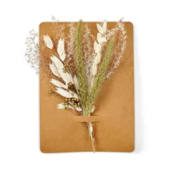 MIA Décoration Séchée Vert