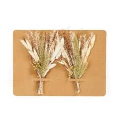 MIA Décoration Séchée Vert