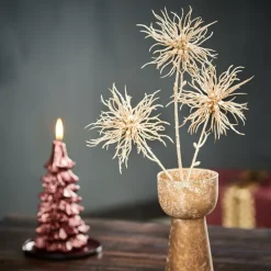 PAMPAS Tiges D'herbe Gris