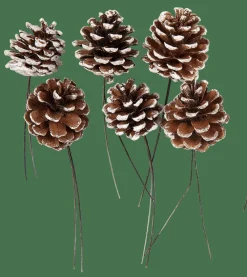 PINECONE Pommes De Pin Set De 6 2 Couleurs Blanc, Argent
