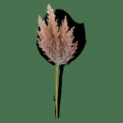 PLUME Tige Panache Orange