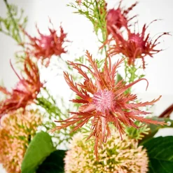 RUBY Plante Artificielle Rouge