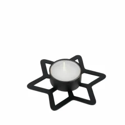 STAR Décoration Séchée