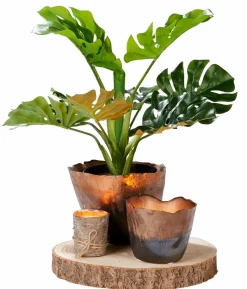 TWO Bougies Set De 2 Blanc, Rouge, Multicolore, Vieux Rose