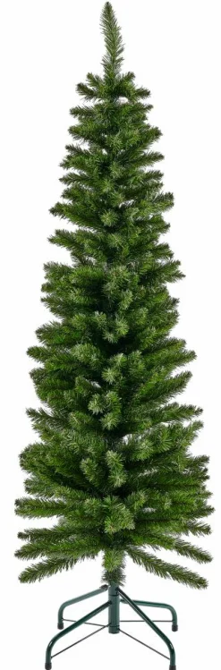 WATER HYACINTH Étoile Naturel